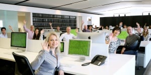 Davidson Branding Team 2016 We Grow Melbourne Design Studio Branding