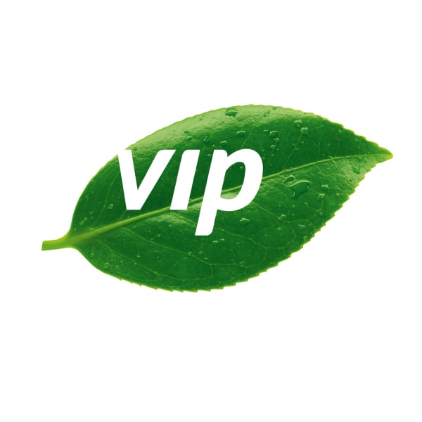 Davidson Branding VIP Packaging Corporate Brand Identity Logo Design Photography Dynamic Leaf Nature