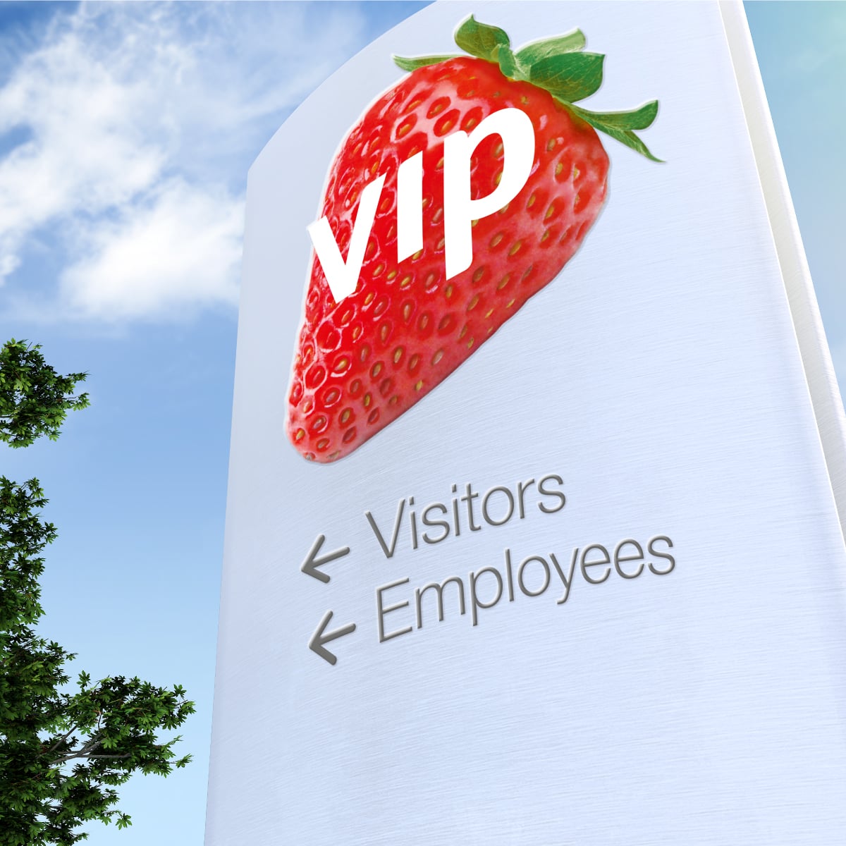 Davidson Branding VIP Packaging Corporate Brand Identity Logo Design Signage