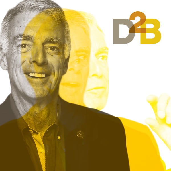 Davidson Branding Digital D2B Design to Business Consultants Logo Visual Language