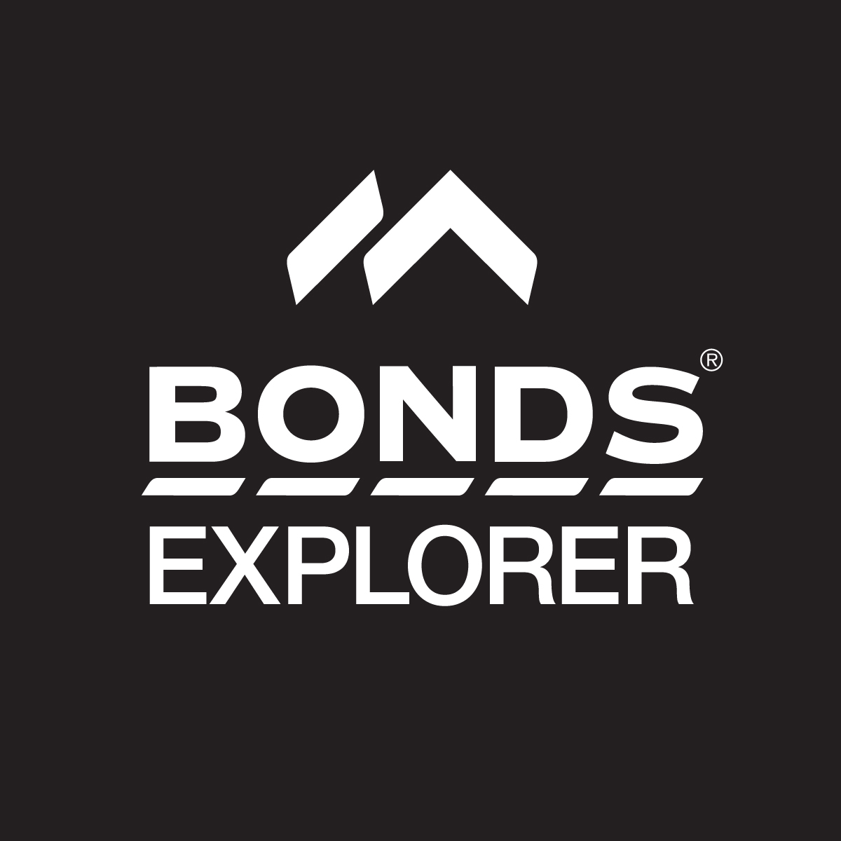 Bonds Explorer - Logo