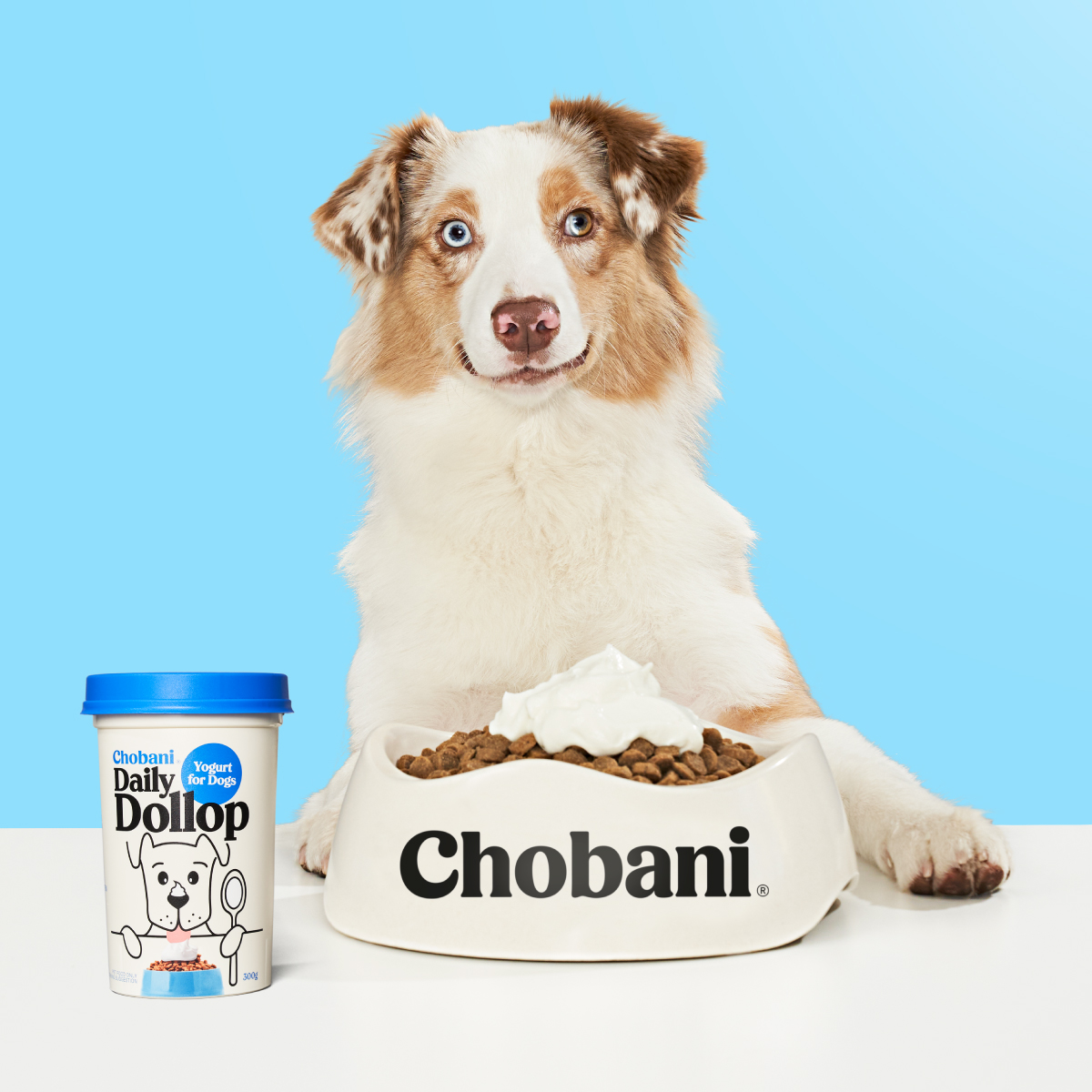 Chobani Australia Daily Dollop Dog Yogurt- Brand Identity & Packaging Design FMCG