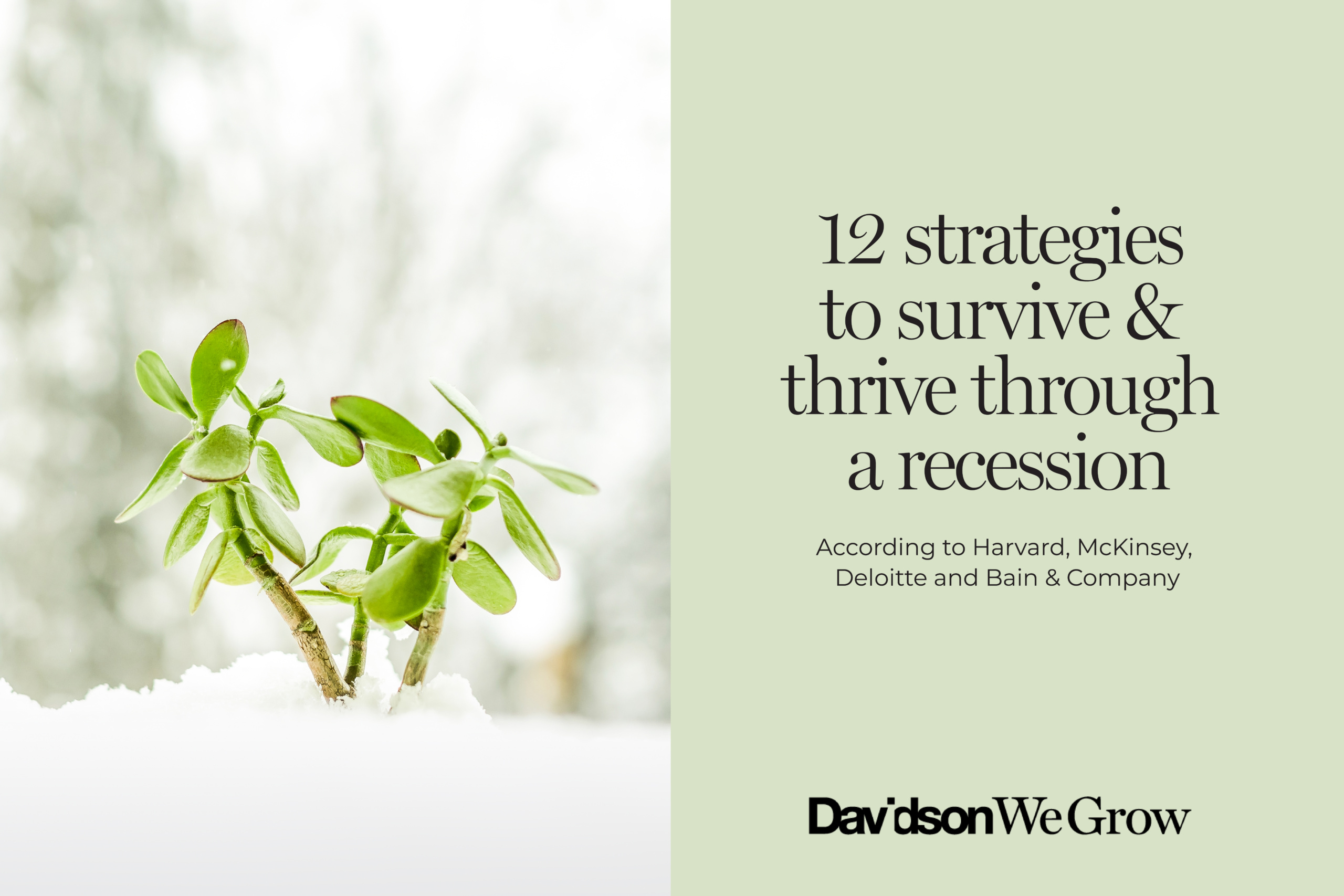 12 strategies to survive & thrive through a recession