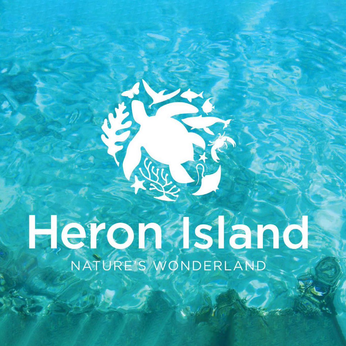 Heron Island Lizard Island Tourism Destination Brand Identity Design