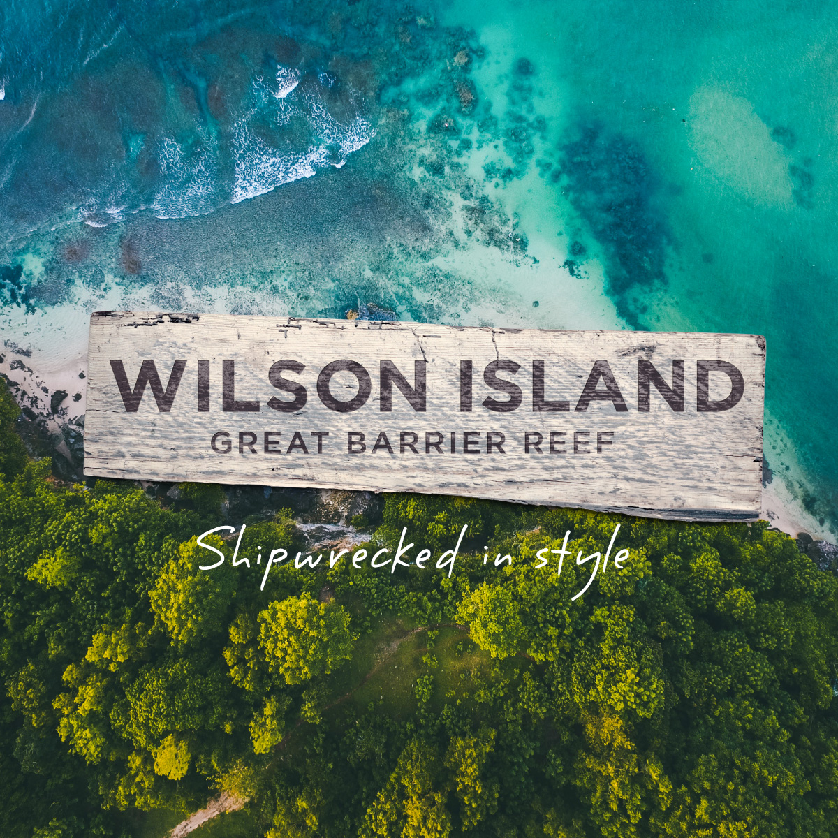Wilson Island Brand Identity