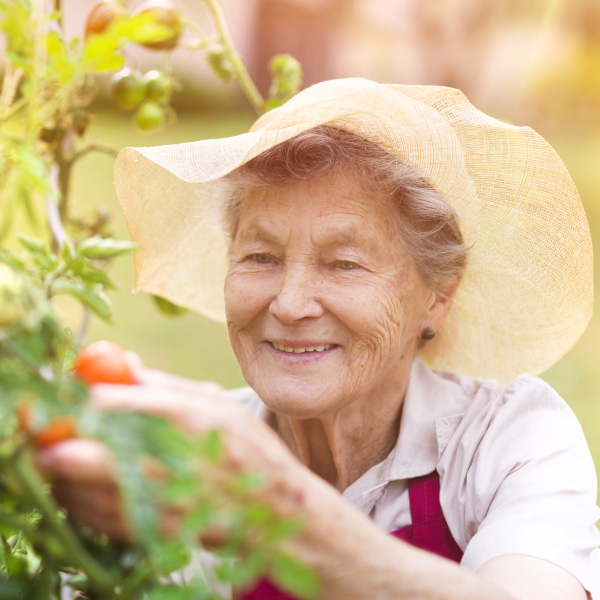 Davidson Branding Corporate Business Healthcare Bolton Clarke Elderly Woman Gardening