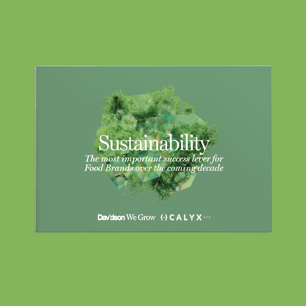 8 consumer levers of sustainability report